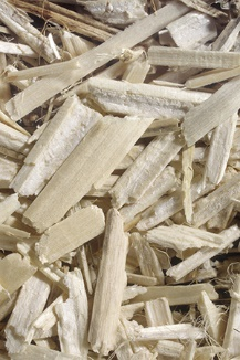 Chenevotte :partie centrale et moelleuse de la tige