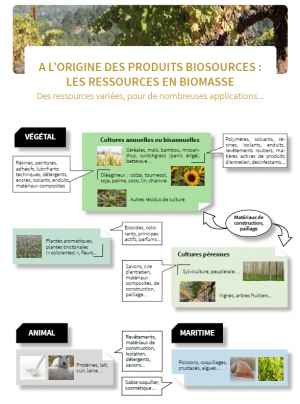 Biomasse.png